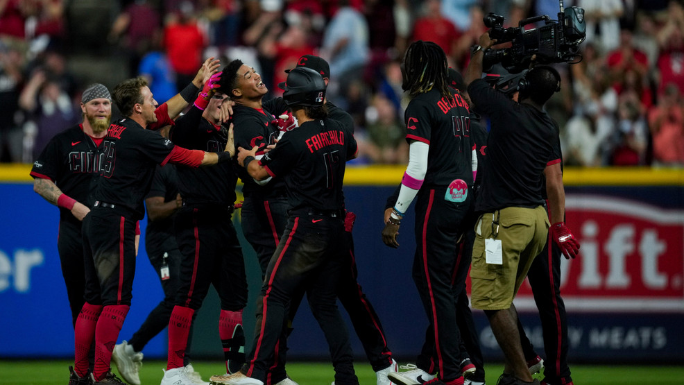 chicago cubs vs cincinnati reds match player stats